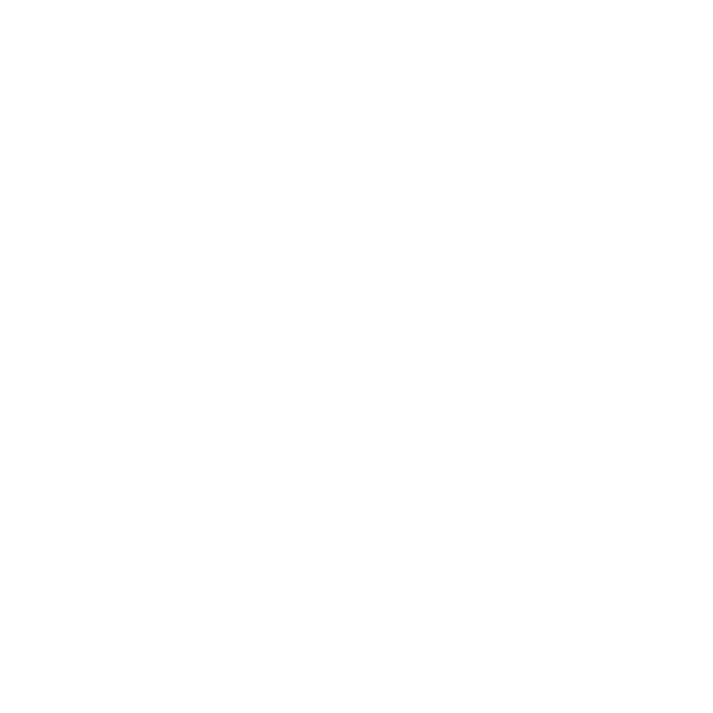 WAVIT White Logo