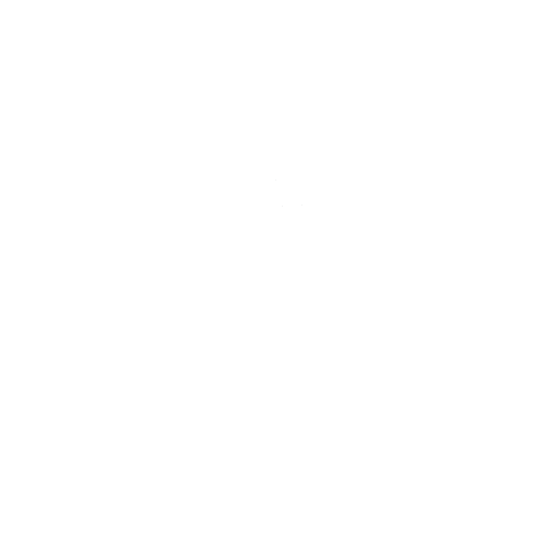 Magpie Dragonfly Logo