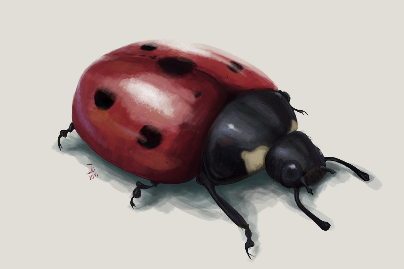 Ladybug Exercise – Photoshop Practice